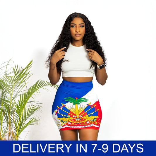 06-COAT OF ARMS OF HAITI Women's Mini Skirt - Haitianbuy