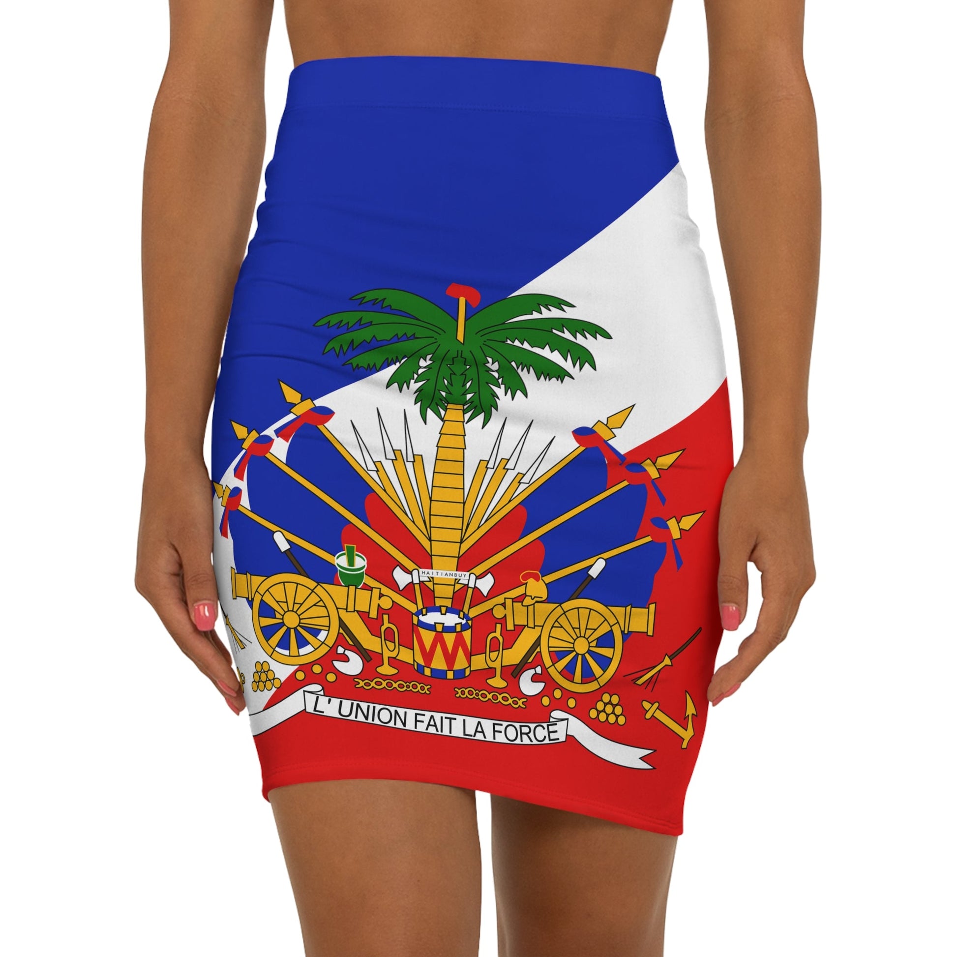 05-COAT OF ARMS OF HAITI Women's Mini Skirt - Haitianbuy