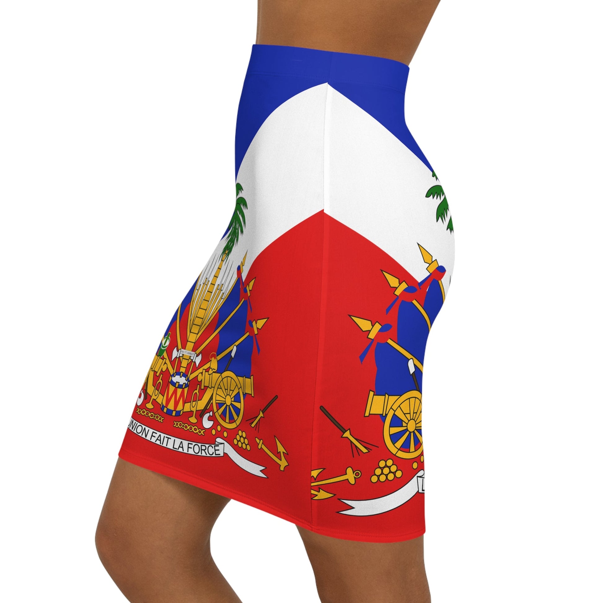 05-COAT OF ARMS OF HAITI Women's Mini Skirt - Haitianbuy